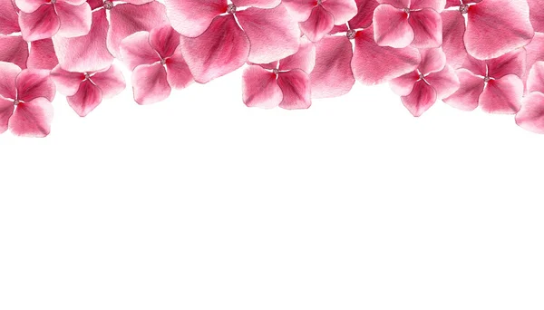 Rózsaszín Hortenzia Virág Zökkenőmentes Banner Design Anya Nap Akvarell Illusztráció — Stock Fotó