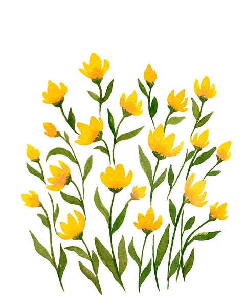 小さな黄色の野の花 シンプルな黄色の花と春の水彩画のイラスト かわいい黄色の花の装飾 — ストック写真