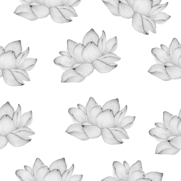 Bezszwowe Tło Kwiatowe Kwiatem Lotosu Rysunku Ołówka Prosty Elegancki Wzór — Zdjęcie stockowe