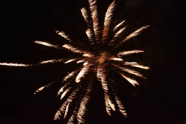 Fuochi d'artificio luminosi durante la celebrazione del diwali sul cielo.Bellissimi fuochi d'artificio sul cielo . — Foto Stock