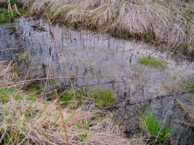 Yağmur toplamak için bir hendek.