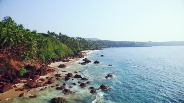 Flygfoto tropisk strand i Indien, Goa. — Stockvideo