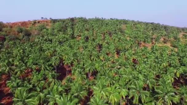 Widok na plaży w Goa, Cabo de rama. Indie. — Wideo stockowe