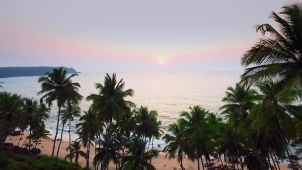 Flygfoto över stranden i Goa, Cabo de rama. Indien. — Stockvideo