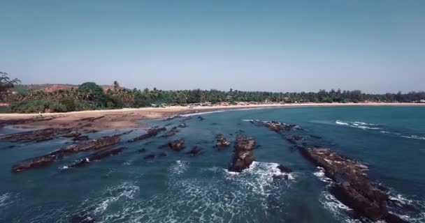 Vue aérienne de la plage à Mandrem Goa, Inde . — Video