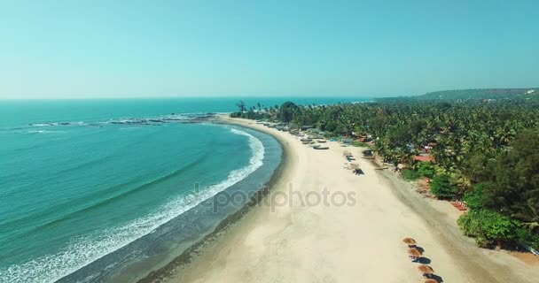 Havadan görünümü Beach Mandrem Goa, Hindistan. — Stok video