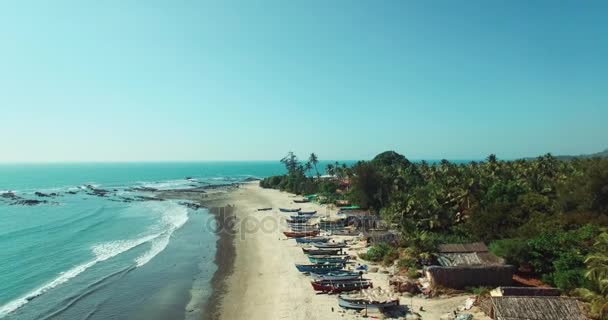 Aerial view of beach in Mandrem Goa, India. — Stock Video