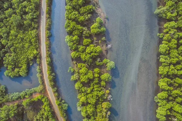 Der Fluss mit tropischen Wäldern an seinen Ufern in goa — Stockfoto