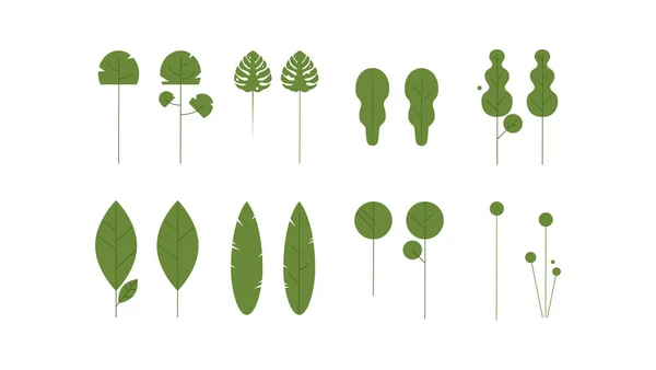 Коллекция зеленых растений. Элементы дизайна. Шаблон векторной плоской кисти для иллюстратора . — стоковый вектор