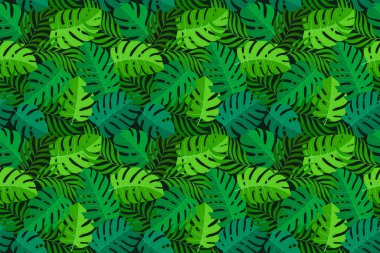 Tropik, pürüzsüz doğal egzotik yapraklar..