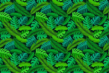 Tropik, pürüzsüz doğal egzotik yapraklar..