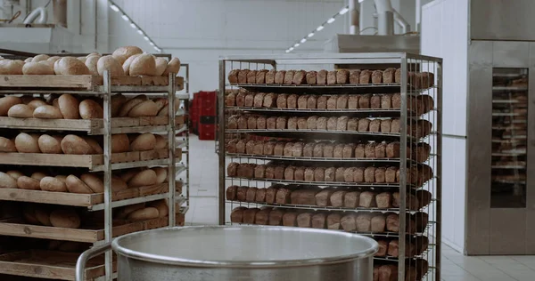 Pão fresco em prateleiras em uma padaria — Fotografia de Stock