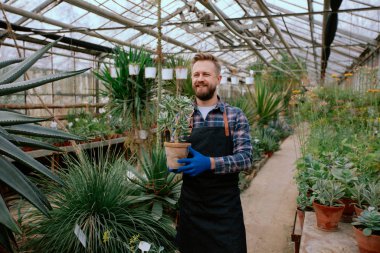 Attractive young man gardener in the morning in the flower greenhouse and holding a beautiful decorative plant