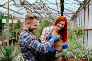 Happy and charismatic two gardener smiling large while checking all the plants and make some notes on the map in a large flower greenhouse