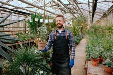 Çekici bahçıvan kendi çiçek serasında büyük bir gülümsemeyle doğrudan kameraya bakıp gülümsüyor.