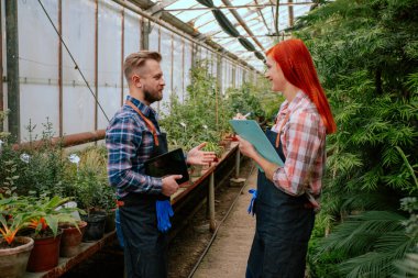Büyük bir çiçek serasında kızıl saçlı bahçıvan kadın ve iş arkadaşı fabrikanın sağlığını analiz ediyor ve dostça bir konuşma yapıyorlar.