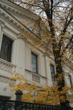 Sokağa düşen sonbahar yaprakları