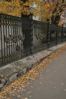 Sokağa düşen sonbahar yaprakları