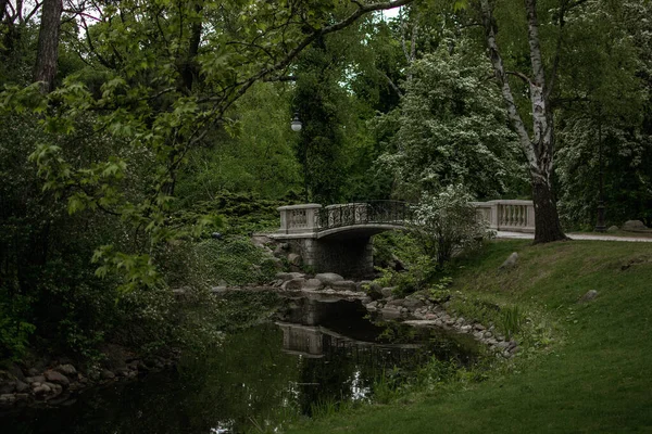 Parco Verde Con Laghetto Lago — Foto Stock