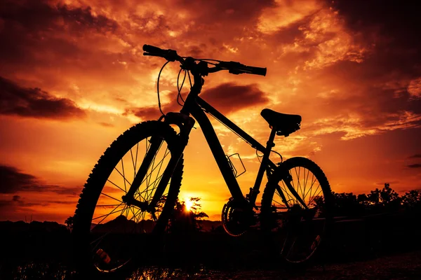 Beautiful close up scene of bicycle at sunset — Stock Photo, Image
