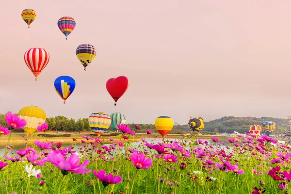 Balões coloridos de ar quente voando sobre flores cosmos ao pôr do sol — Fotografia de Stock