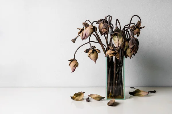 Zwiędły Lotos kwiaty w wazon ze szkła na stole — Zdjęcie stockowe