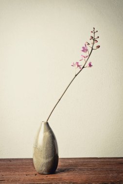 Ahşap masa üzerinde vazoda pembe orkide. Vintage sesi