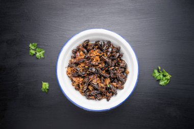 Gıda böcek, kızarmış cırcır demir ahşap masa, Tay f kase.