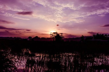 Gün batımında bulutlu renkli dramatik gökyüzü
