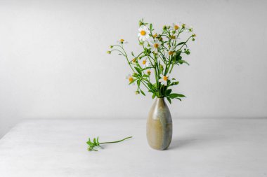 Beyaz arkaplanda vazodaki yabani çiçekler