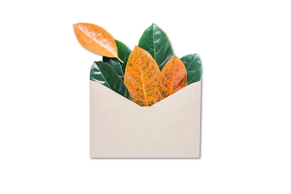 Jesienne list - kopertę i jesień liść na białym tle — Zdjęcie stockowe