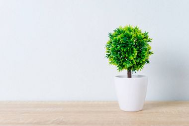 Dekoratif ahşap masa üzerinde saksıyı ağacında