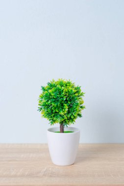 Dekoratif ahşap masa üzerinde saksıyı ağacında