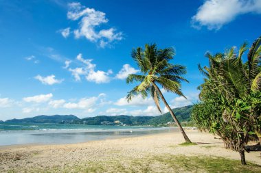 Güzel Patong beach, Phuket Island, Tayland.