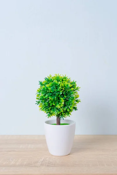 Pohon dekoratif dalam pot bunga di atas meja kayu — Stok Foto