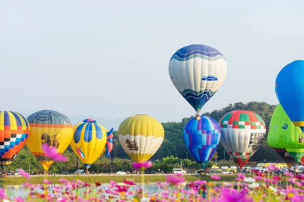 Chiangrai Tayland - Şubat 16 2017: Singha Park International — Stok fotoğraf