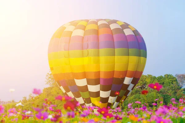 Globo de aire caliente volando sobre campos de flores cosmos — Foto de Stock