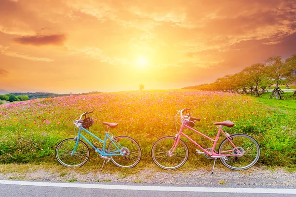 Красиве Пейзажне Зображення Велосипедами Заході Сонця — стокове фото