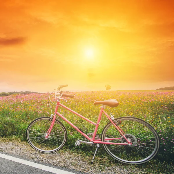 Hermosa Imagen Paisaje Con Bicicleta Rosa Atardecer — Foto de Stock