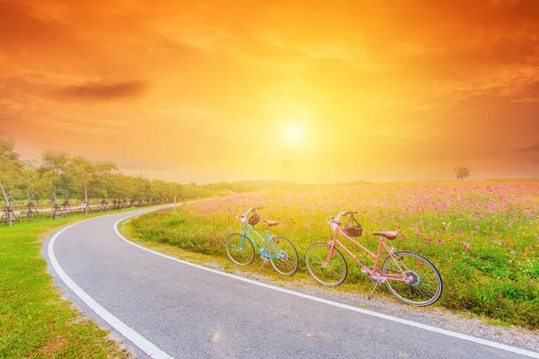 Afbeelding Van Het Prachtige Landschap Met Fietsen Bij Zonsondergang — Stockfoto