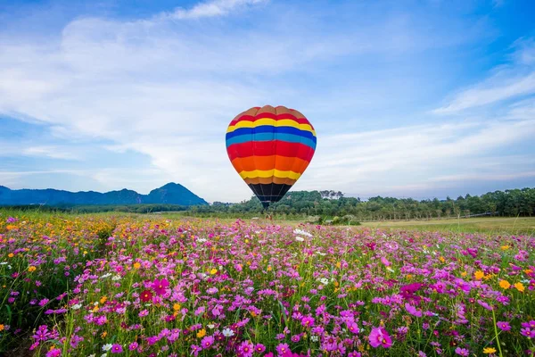Globo de aire caliente volando sobre campos de flores cosmos — Foto de Stock