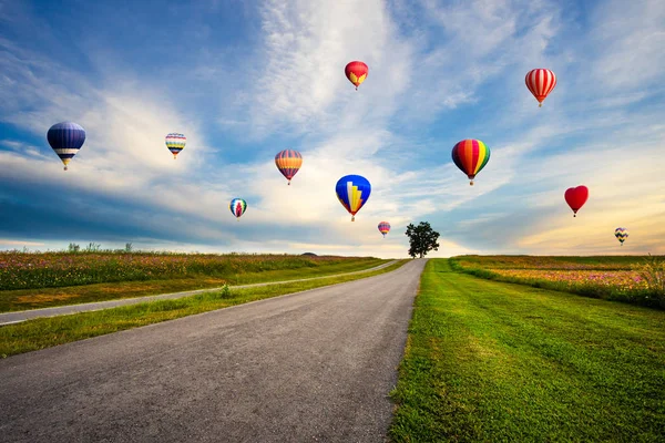 Balões de ar quente coloridos voando sobre campo de flores cosmos em su — Fotografia de Stock