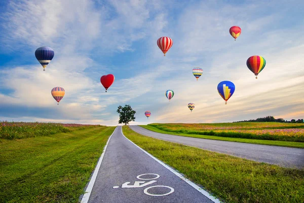 Kleurrijke Hete Lucht Ballonnen Vliegen Cosmos Bloem Veld Zonsondergang — Stockfoto