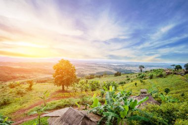 Ban Doi Sa-ngo Chiangsaen, Chiang Rai ili, Tayland