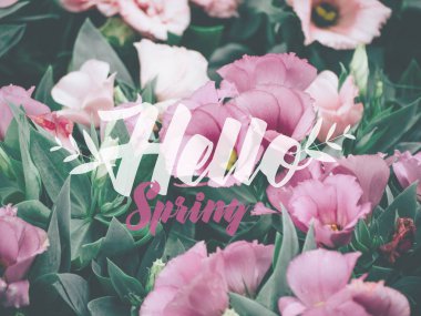 Merhaba bahar yazı Lisianthus veya Eustoma ile çiçek bitkiler.