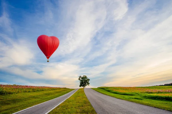 Beau ballon rouge en forme de coeur au coucher du soleil — Photo