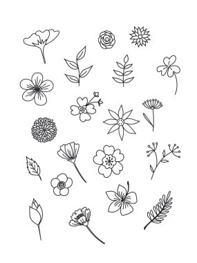 doodle tarzı çiçek. Siyah ve beyaz renkler. Elle çizilmiş.
