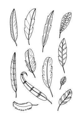 Beyaz background.vector resimde üzerinde tüy kümesi.