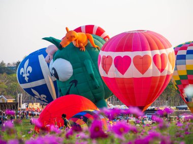 CHIANGRAI Thailand - FEBUARY 12-16 2020 : Singha Park ChiangRai International valentine's Balloon Fiesta 2020 in Singha Park, Chiang Rai, Thailand.