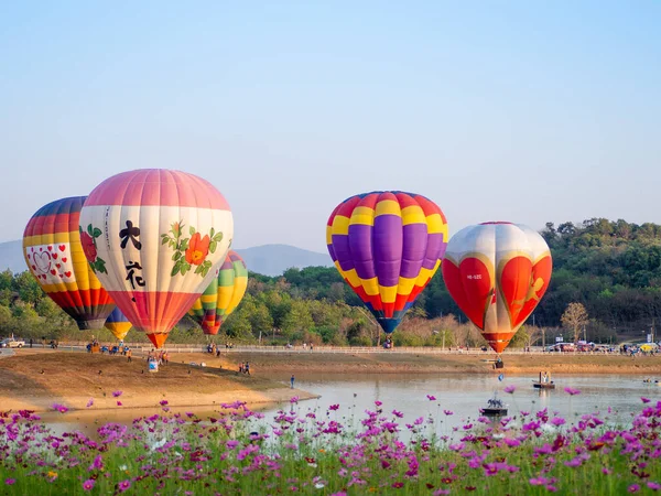 Chiangrai Thailand Febuary 2020 Singha Park Chiangrai International Valentine Balloon — Stockfoto